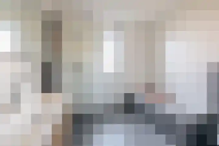 Vlasven 186 Veghel thumbnail 20