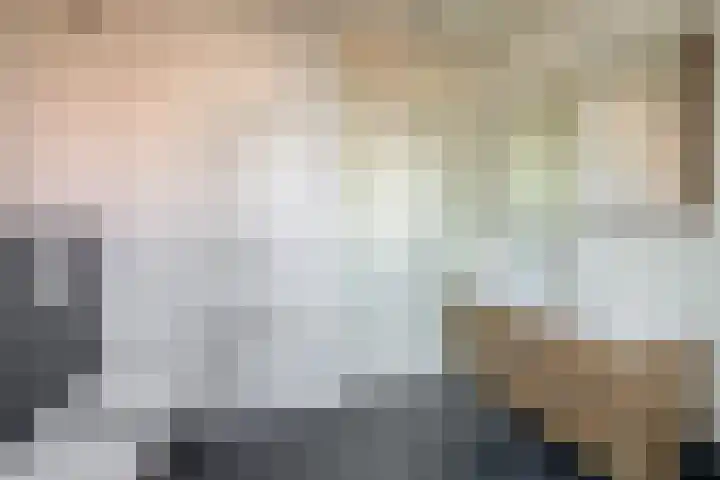 Vlasven 186 Veghel thumbnail 21