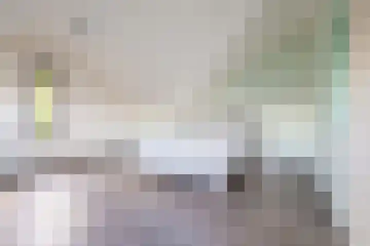 Vlasven 186 Veghel thumbnail 25