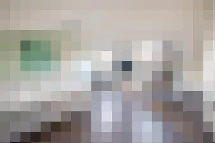 Vlasven 186 Veghel thumbnail 26