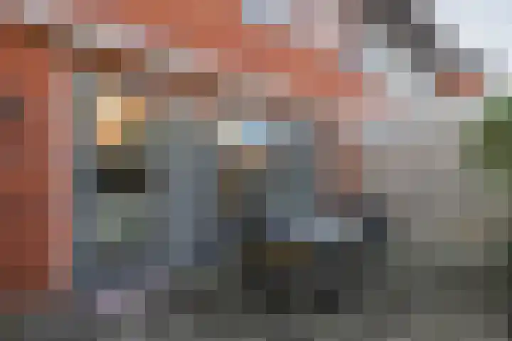 Vlasven 186 Veghel thumbnail 27
