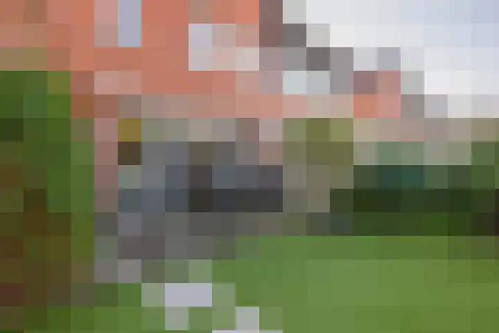 Vlasven 186 Veghel thumbnail 28