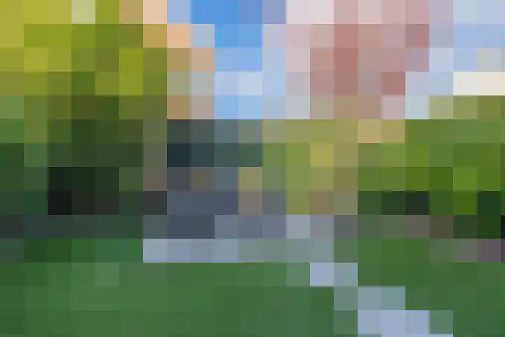 Vlasven 186 Veghel thumbnail 29