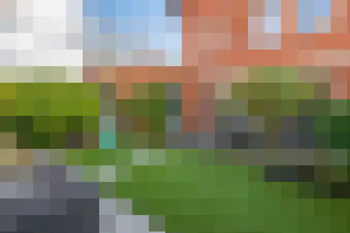 Vlasven 186 Veghel thumbnail 30