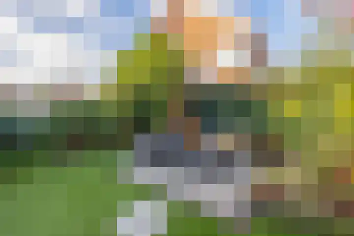 Vlasven 186 Veghel thumbnail 31