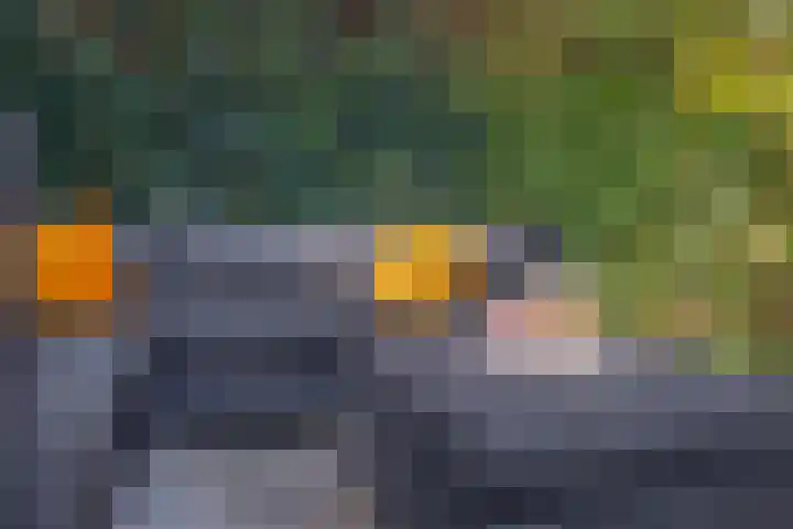 Vlasven 186 Veghel thumbnail 32
