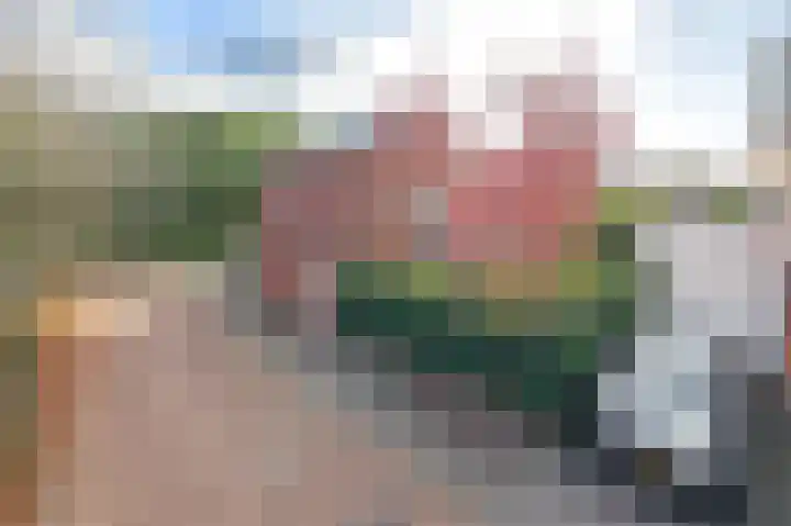 Vlasven 186 Veghel thumbnail 33