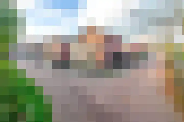 Vlasven 186 Veghel thumbnail 34
