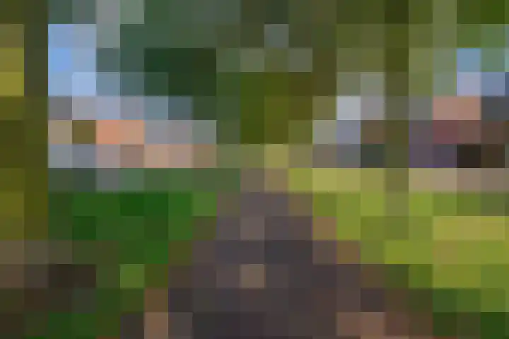 Vlasven 186 Veghel thumbnail 35