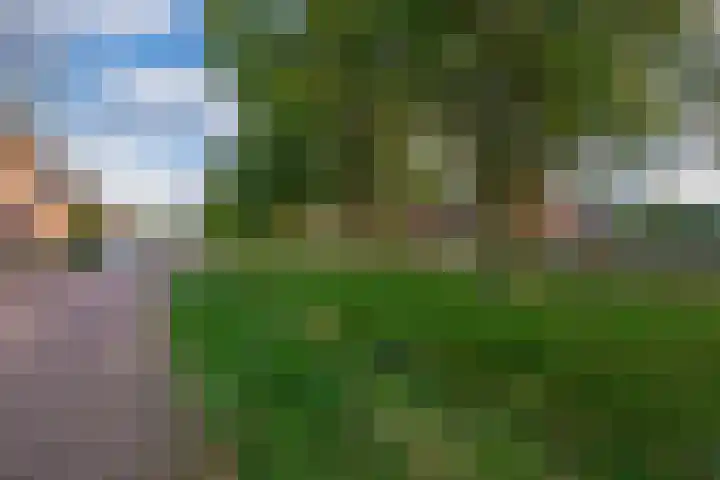 Vlasven 186 Veghel thumbnail 36