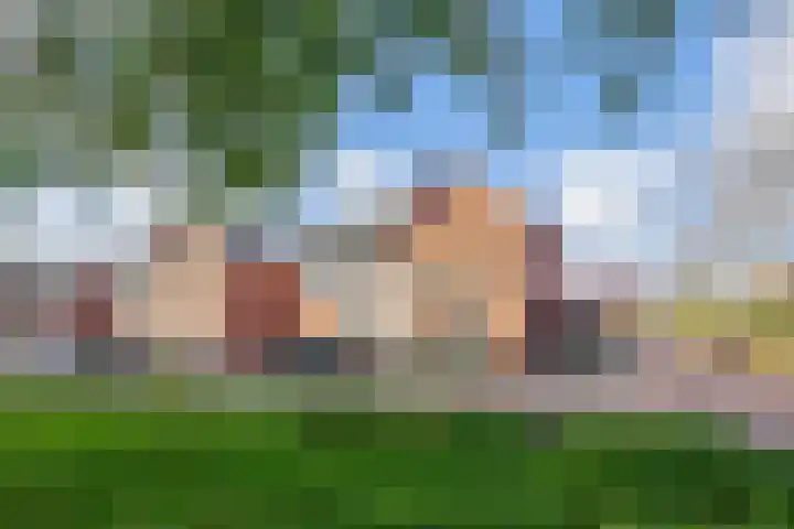 Vlasven 186 Veghel thumbnail 37