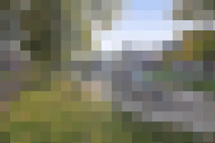 Vlasven 186 Veghel thumbnail 39