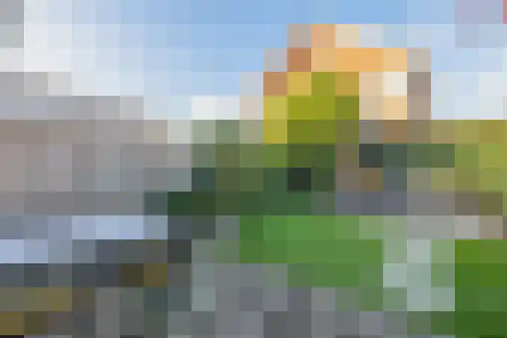 Vlasven 186 Veghel thumbnail 4