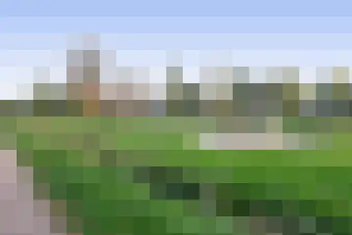 Vlasven 186 Veghel thumbnail 40