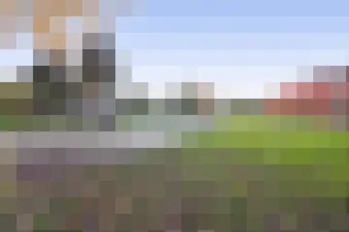 Vlasven 186 Veghel thumbnail 41