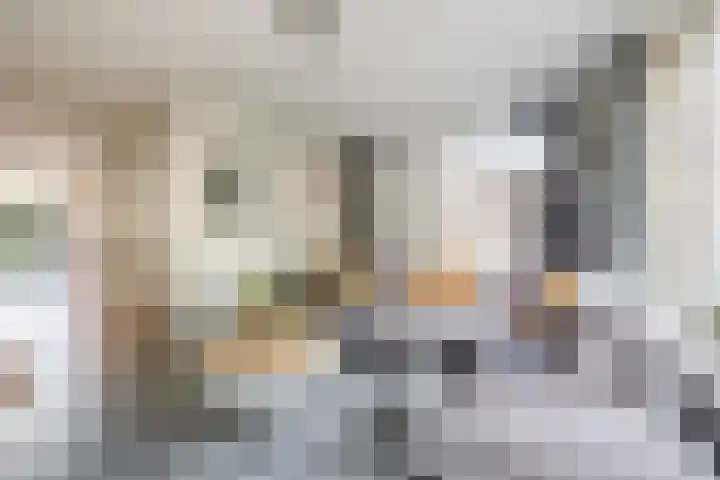Vlasven 186 Veghel thumbnail 5