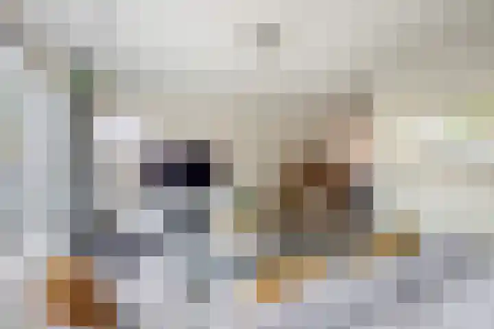 Vlasven 186 Veghel thumbnail 7