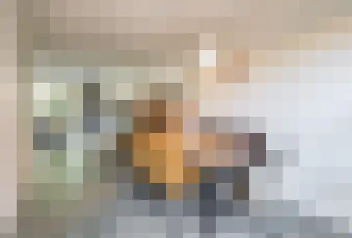 Vlasven 186 Veghel thumbnail 8