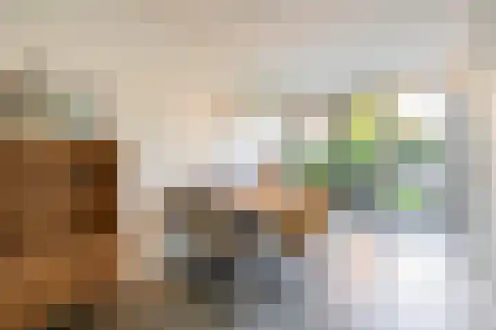 Vlasven 186 Veghel thumbnail 9