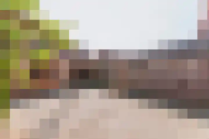 Vlasven 19 Veghel thumbnail 17