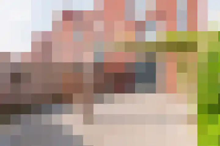 Vlasven 19 Veghel thumbnail 18