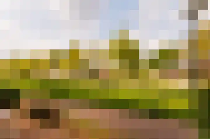 Vlasven 19 Veghel thumbnail 21