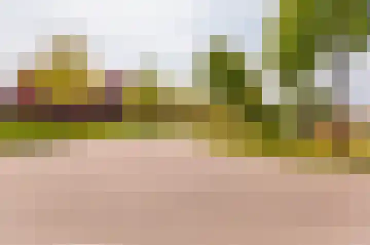 Vlasven 19 Veghel thumbnail 22