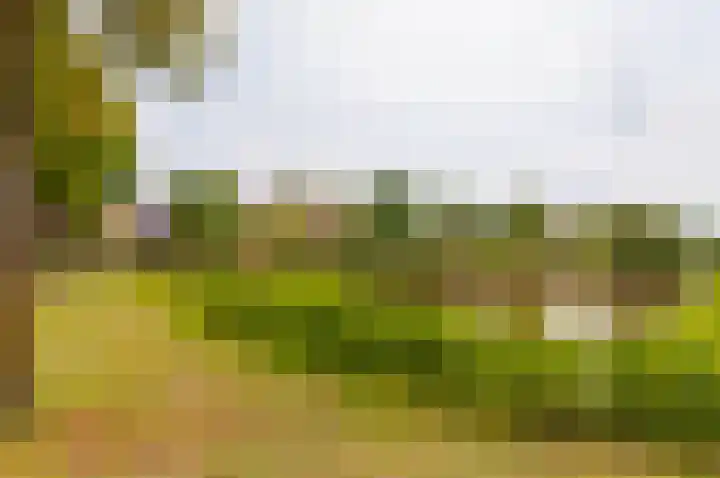 Vlasven 19 Veghel thumbnail 23