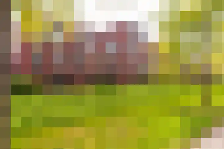 Vlasven 19 Veghel thumbnail 4