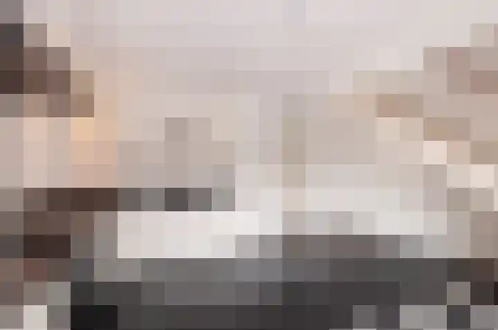Vlasven 19 Veghel thumbnail 9