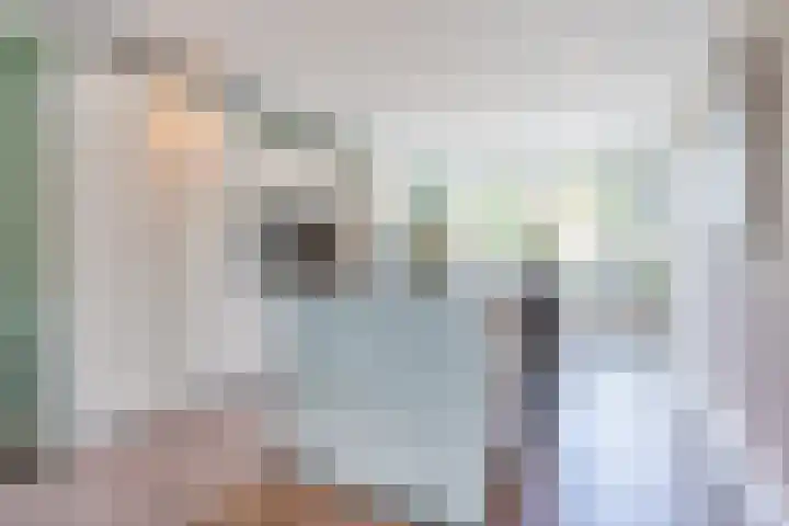 Vlasven 2 Veghel thumbnail 14