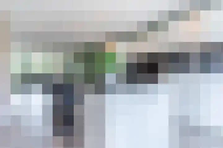 Vlasven 2 Veghel thumbnail 15