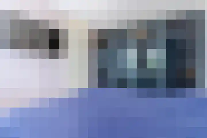 Vlasven 2 Veghel thumbnail 19