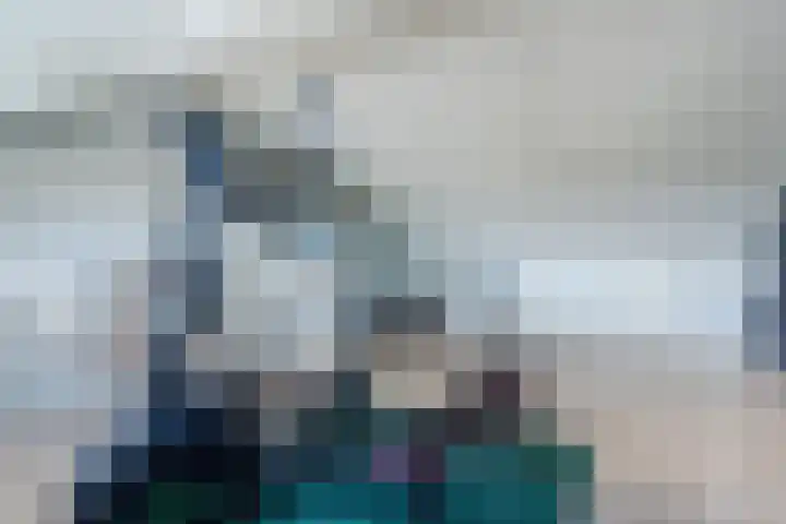 Vlasven 2 Veghel thumbnail 30
