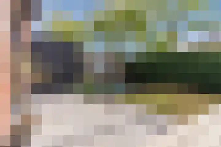 Vlasven 2 Veghel thumbnail 33