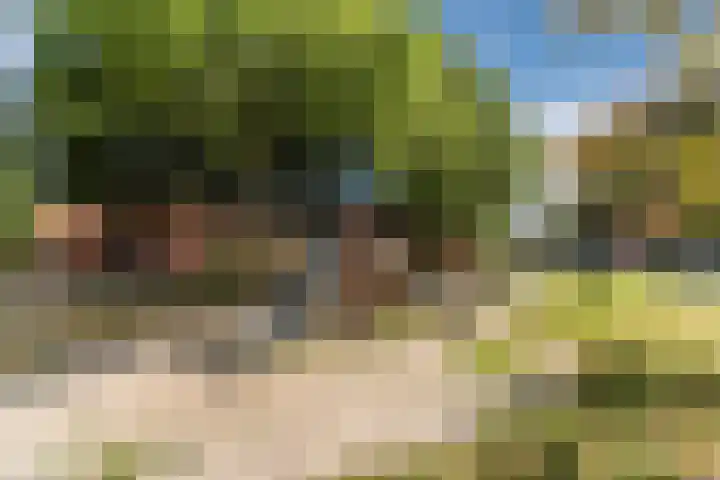 Vlasven 2 Veghel thumbnail 38