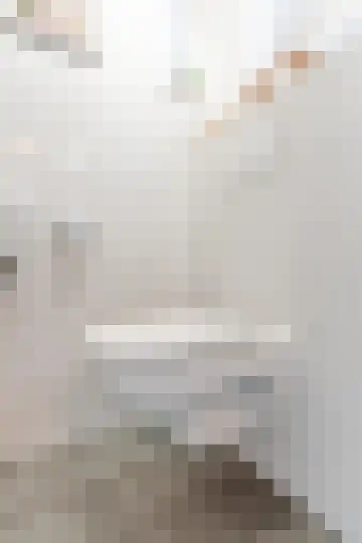 Vlasven 2 Veghel thumbnail 7