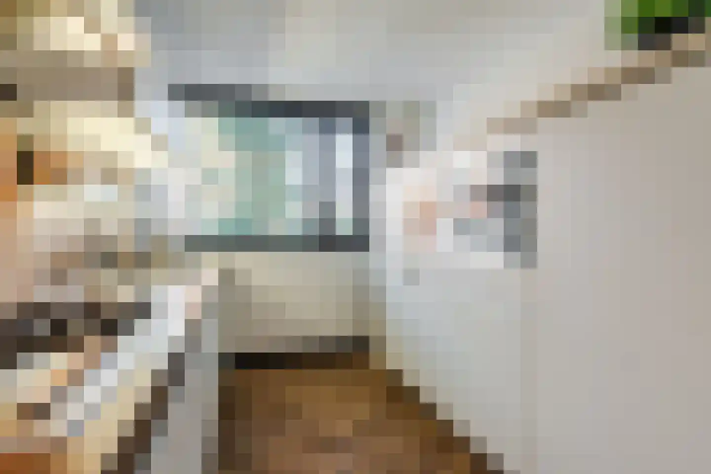 Vlasven 213 Veghel thumbnail 13