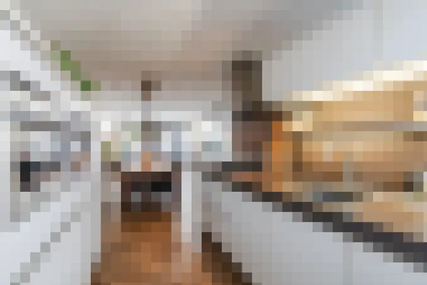 Vlasven 213 Veghel thumbnail 15