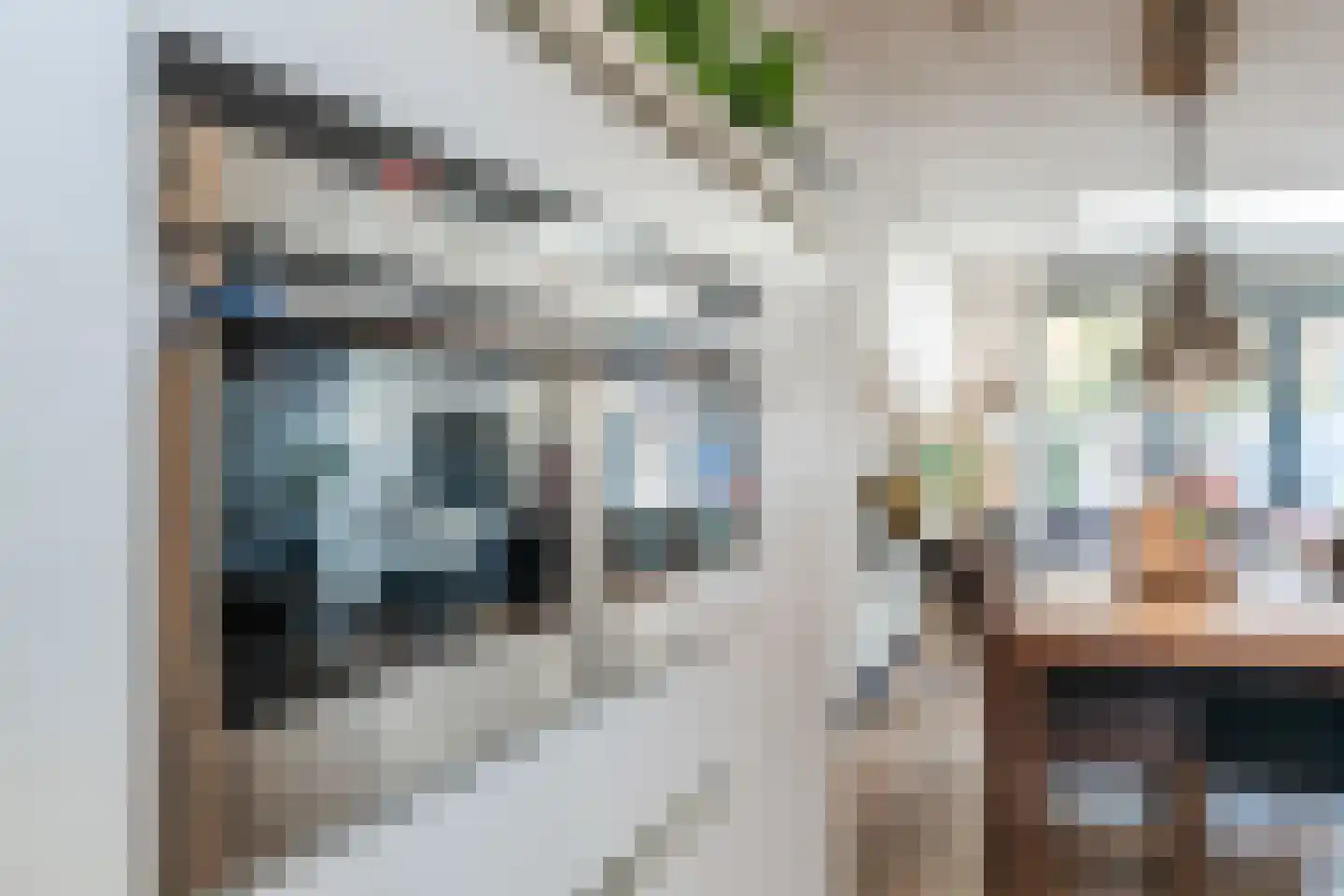 Vlasven 213 Veghel thumbnail 16