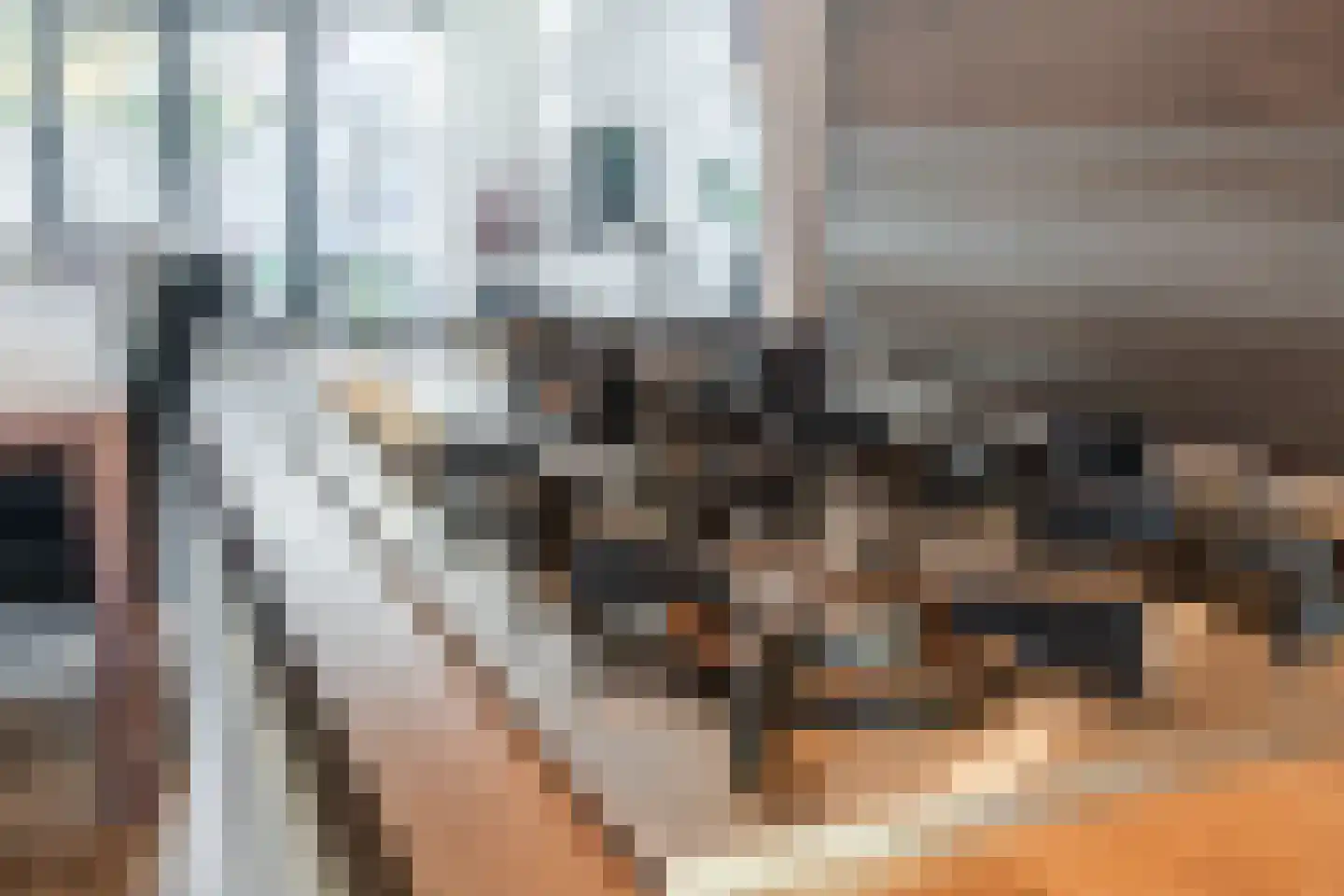 Vlasven 213 Veghel thumbnail 18
