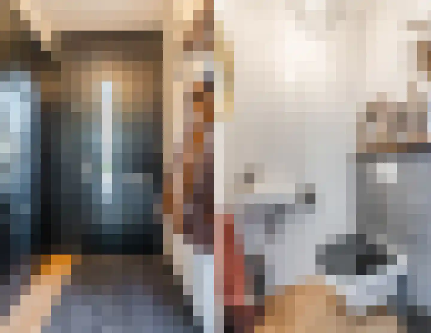 Vlasven 213 Veghel thumbnail 22