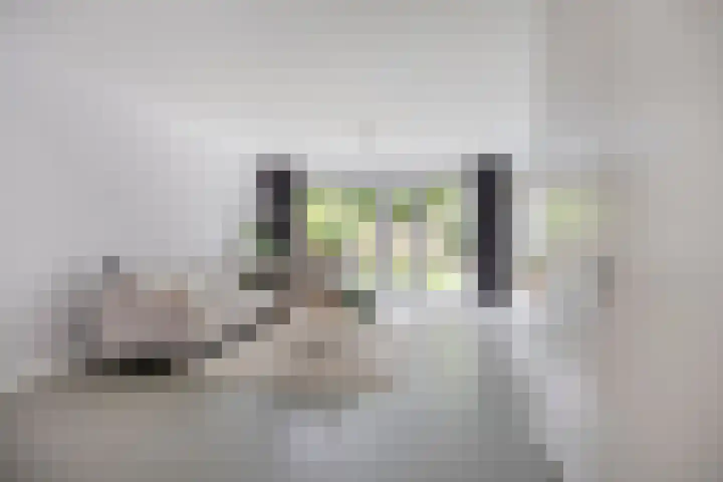 Vlasven 215 Veghel thumbnail 12