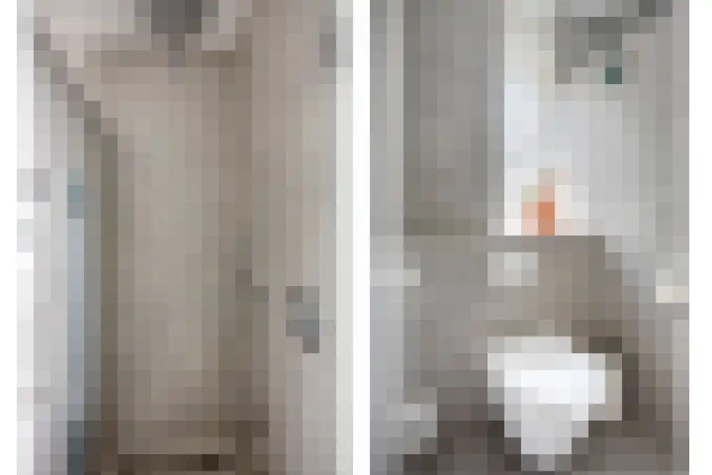 Vlasven 215 Veghel thumbnail 25