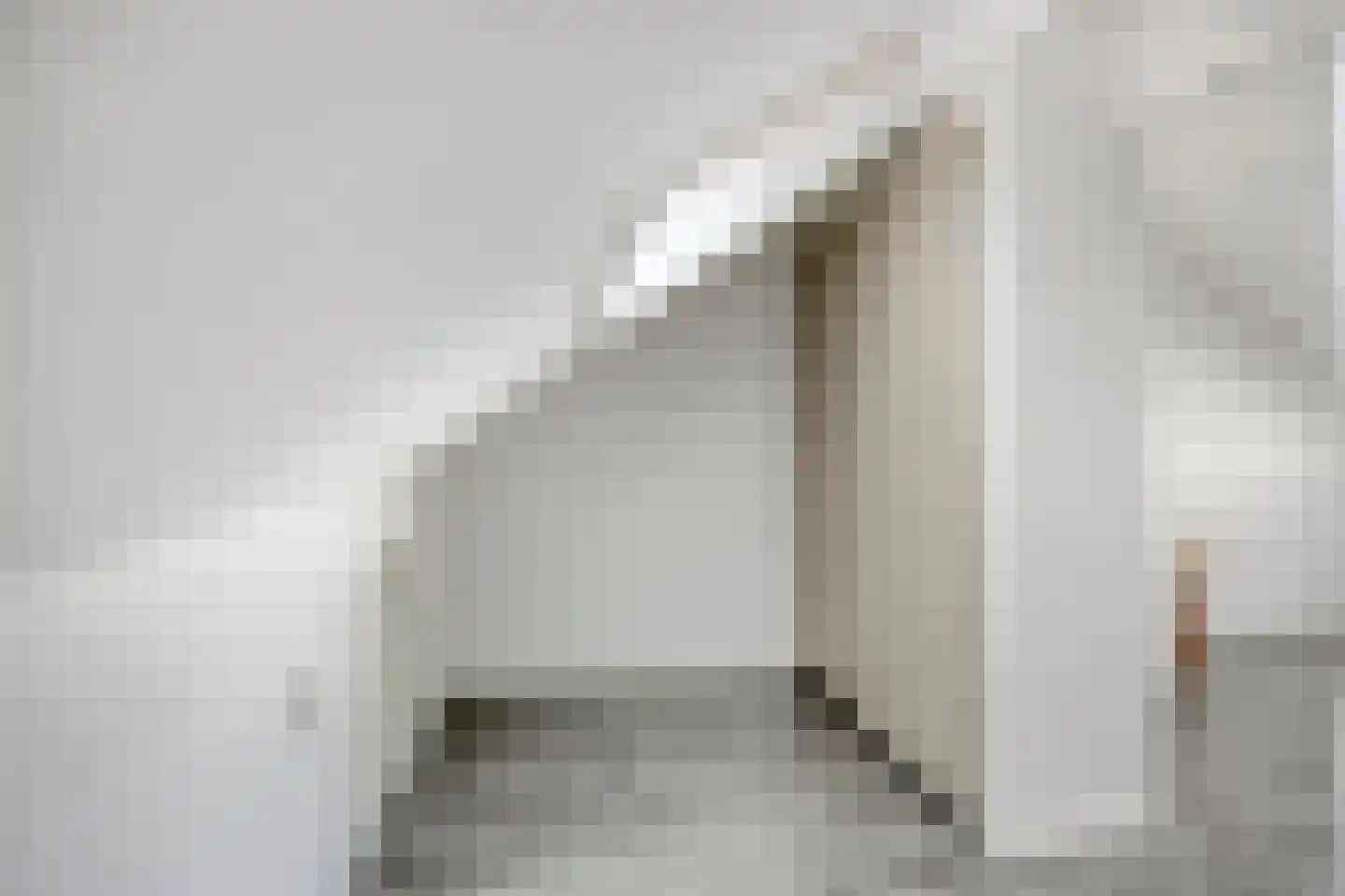 Vlasven 215 Veghel thumbnail 33