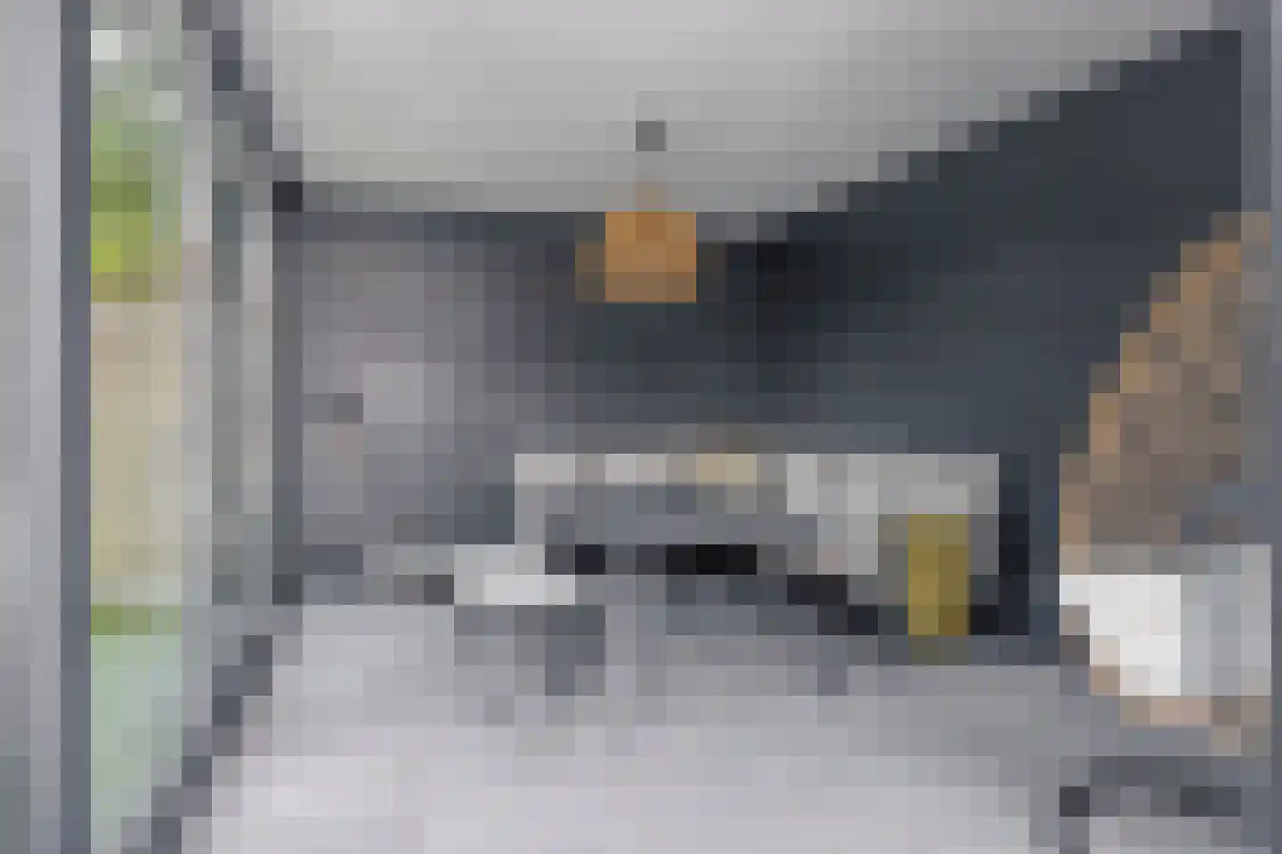 Vlasven 215 Veghel thumbnail 34