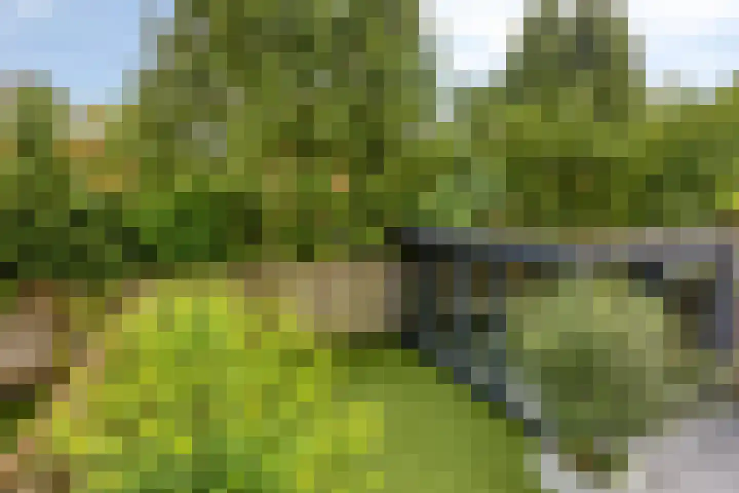 Vlasven 215 Veghel thumbnail 36
