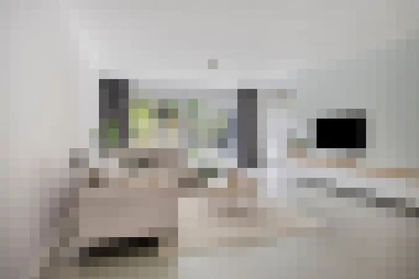 Vlasven 215 Veghel thumbnail 4