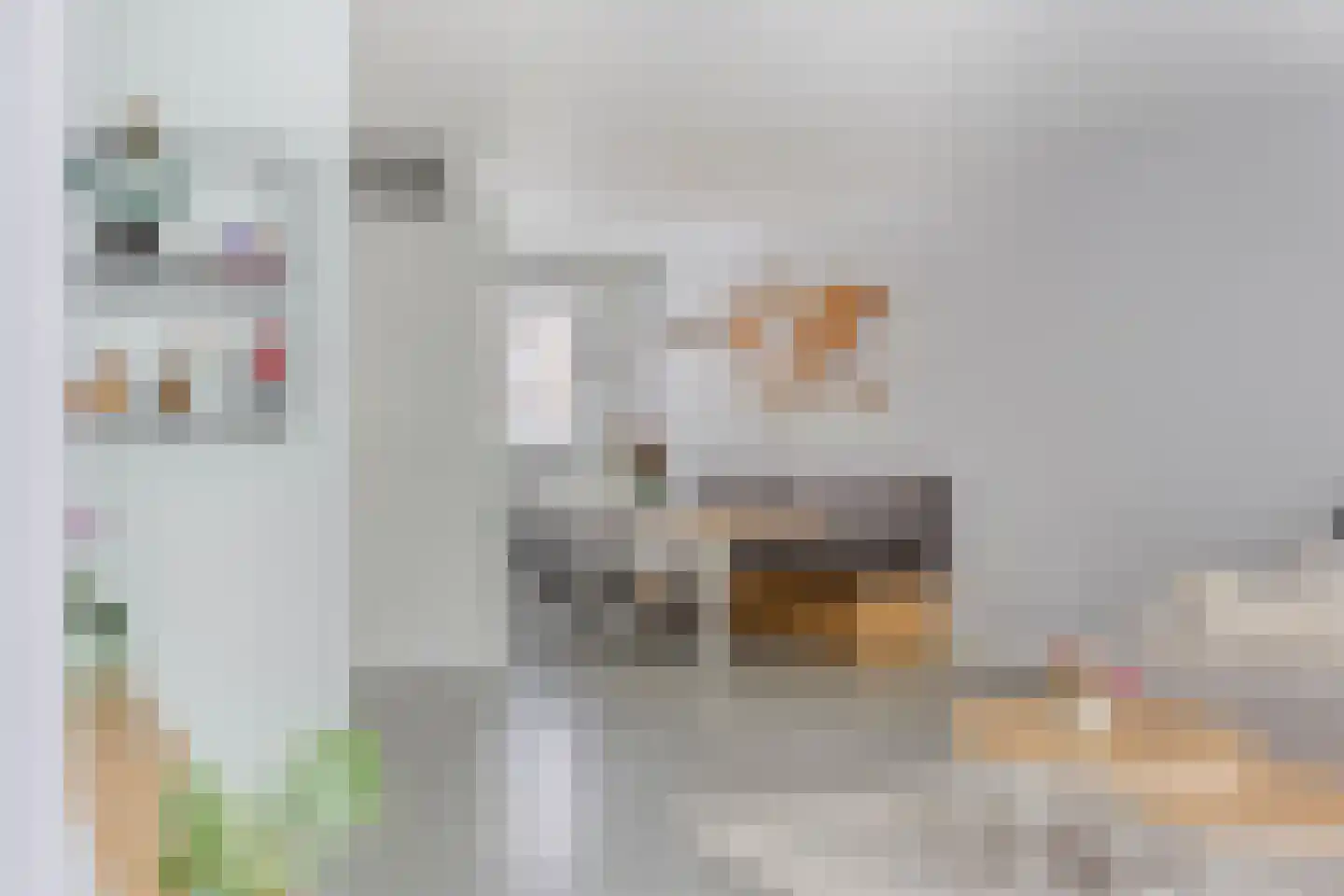 Vlasven 215 Veghel thumbnail 6