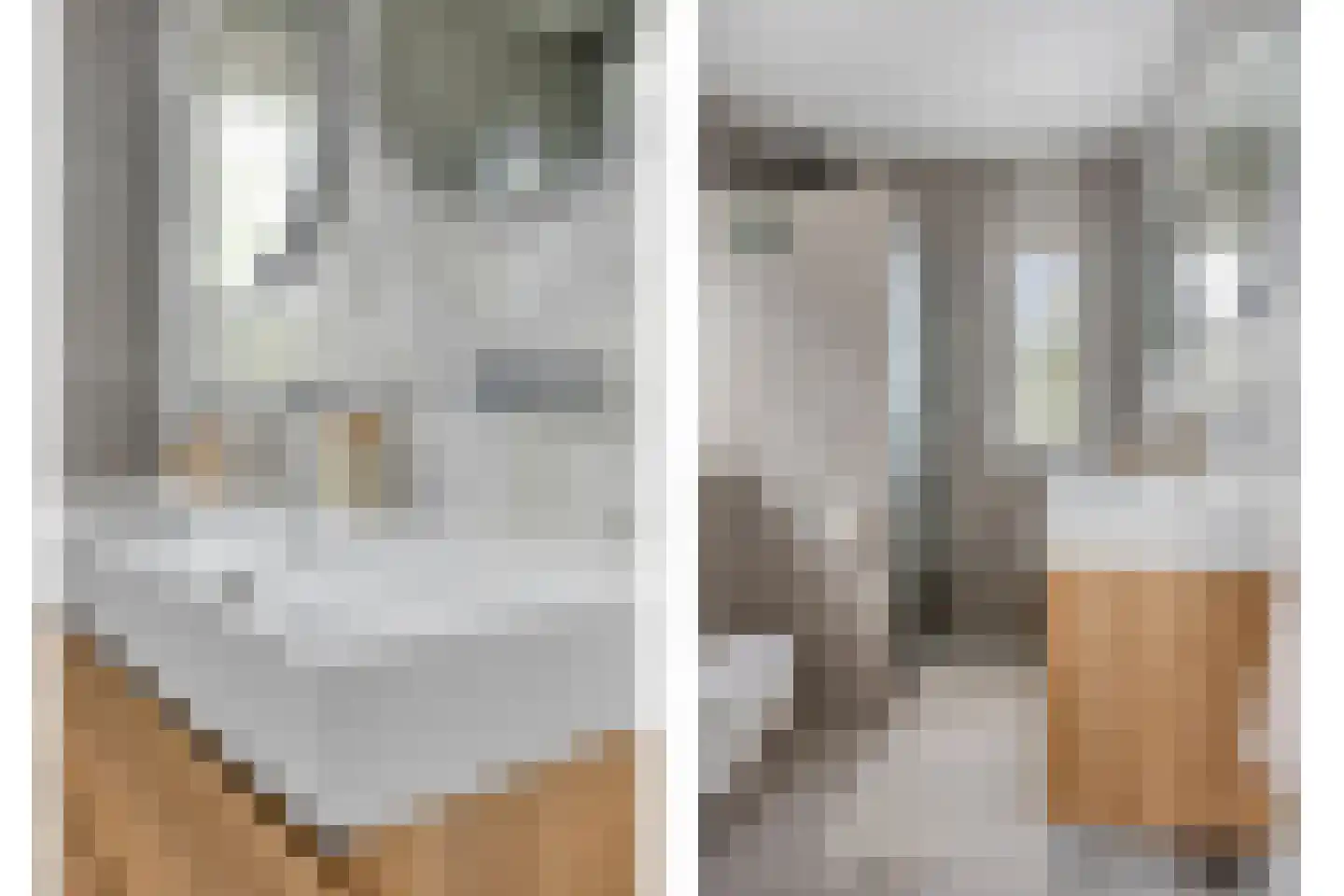 Vlasven 215 Veghel thumbnail 7